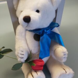Vintage Daikin Bear